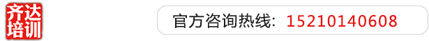 欧美小屄齐达艺考文化课-艺术生文化课,艺术类文化课,艺考生文化课logo